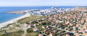 Hyppig gæst er ankommet til Skagen