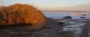Læserbrev: Buttervej forsvinder i havet
