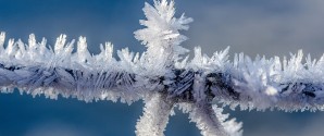 Nu kommer den hårde frost – gode råd til at undgå skader