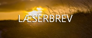 Læserbrev: Minibyen skal da være på Skolemarken !