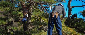 Forsikringsselskab advarer: Disse ting i haven skal du passe på