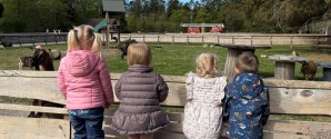 En fantastisk dag i Farm Fun, for børn og dagplejere
