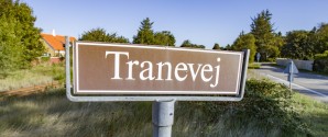 Landzonetilladelse til sommerhus på Tranevej 360 ved Skagen