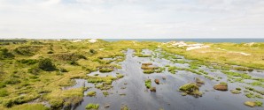 Skagen by er udfordret af vand fra alle sider