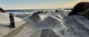 Læserbrev: Enjoy Skagen – og nyd vores fantastiske natur