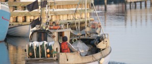 Frederikshavn Kommune og lokale fiskeriforeninger i opråb til ministre