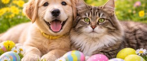 Pas på påskefarerne for hund og kat