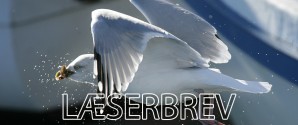 Havnens betydning for Skagen