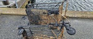Skawdyk gik på jagt efter affald på bunden af havnen