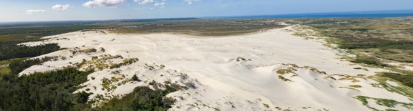 Natur på skoleskemaet: 144.000 børn skal udforske naturen i næste uge