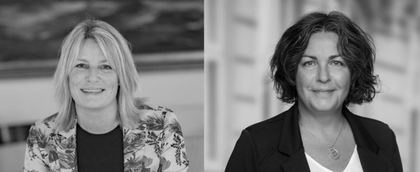 Søg en hjælpende hånd til projektudvikling