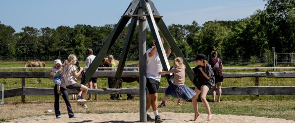 Stranden fravælges for dyrenes skyld – Nu med video