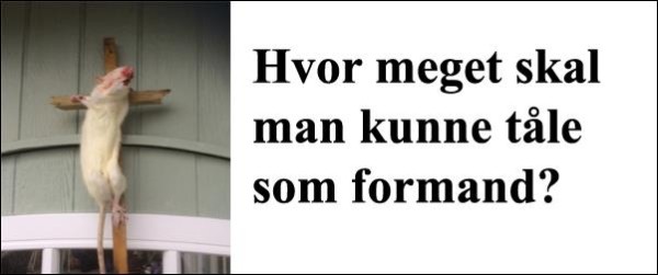 Hvor meget skal man kunne tåle som formand?
