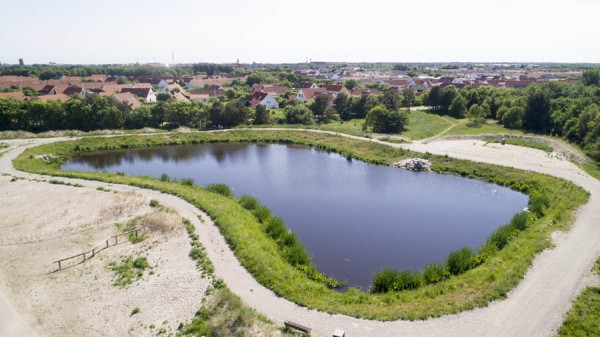 Findes der stadig nogle ”Guldmajs klokker” her i Skagen?