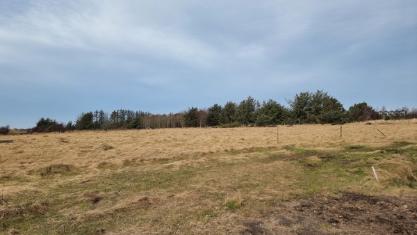 Landzonetilladelse til opførelse af midlertidigt jorddepot