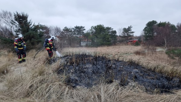 Naturbrand ved Guldmajssøen