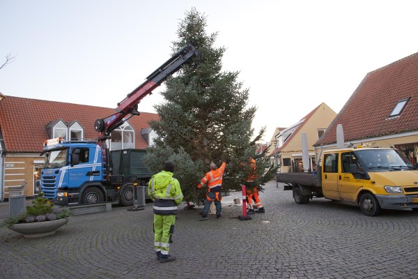 52 meter juletræer sat op i Skagen