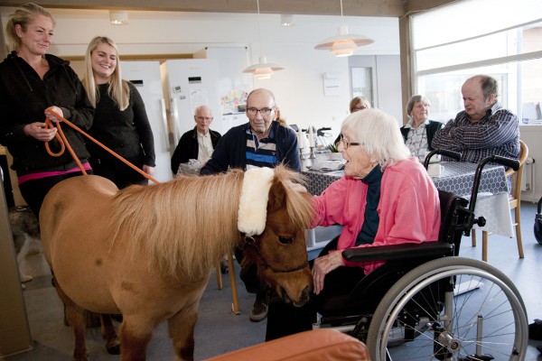 Hest på besøg i Plejeboligerne på Lindevej