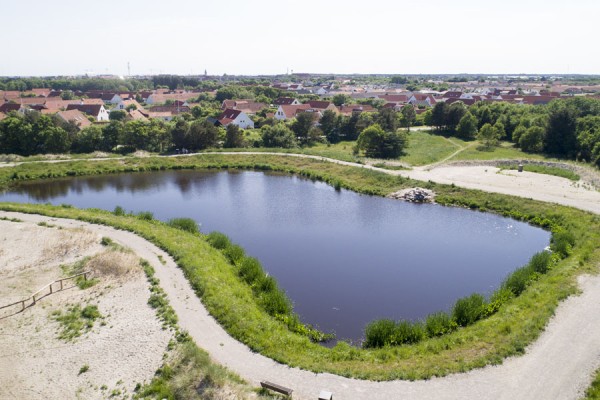 Guldmajssøens Venner ønsker bord og bænke