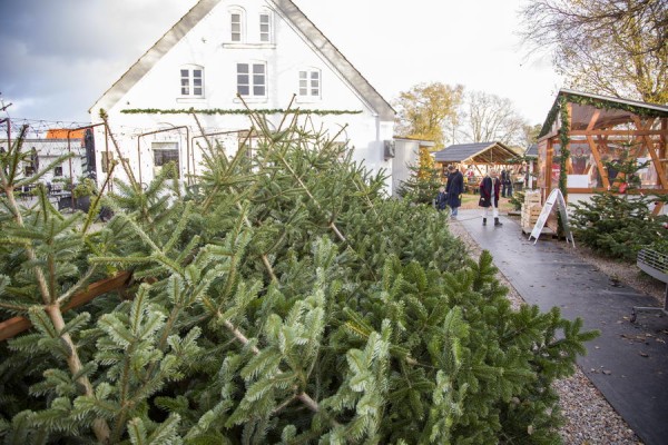 Drømmer du om en hytte på Nordjyllands hyggeligste julemarked i Ålbæk?