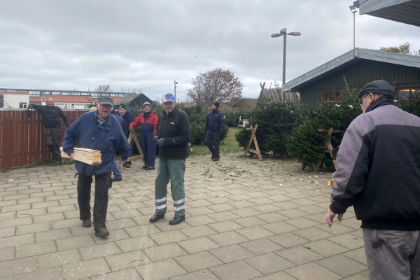 Spejderne på Markvej klar til årets juletræssalg