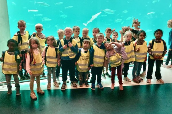 En uforglemmelig dag i Nordsøens Oceanarium