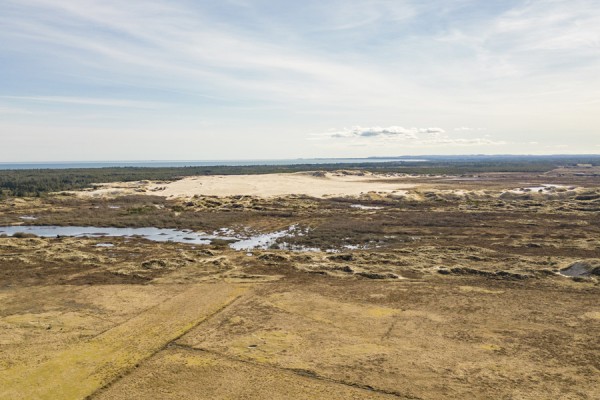 Sandormen får søster – “Mileormen” skal køre turister hen over Råbjerg Mile