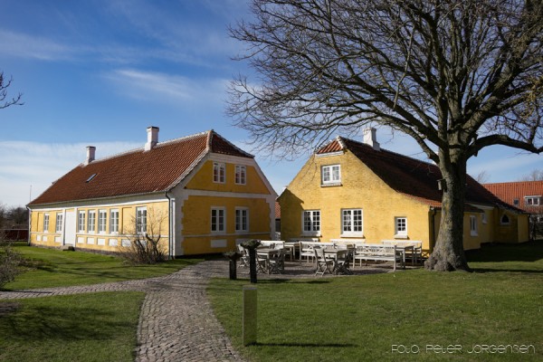Saxild går i græskar- og kartoffelglæde
