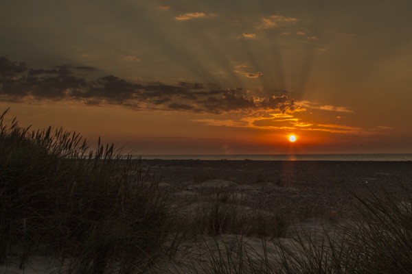 Morgensang i Skagen Kapel