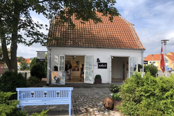 Kunstner trio udstiller i ‘Molevit’