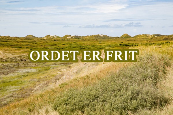 Sidste chance: Skriv under mod besparelser på ældreområdet