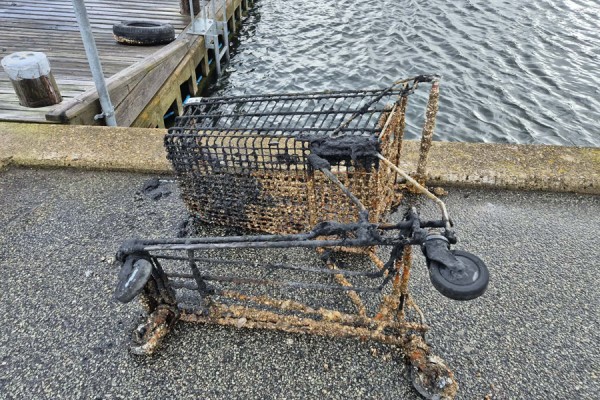 Skawdyk gik på jagt efter affald på bunden af havnen