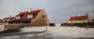 Masser af havskum i Gl. Skagen