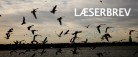 Mot 10 000 cruise passasjerer invaderer Skagen…til sommeren..