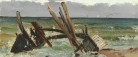 Tre nye værker til Skagens Museums samling