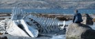 Med Natbio til Rusland