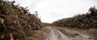 I Ulven og Hugormens rige