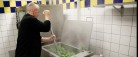 Grønlangkål i lange baner