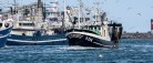 Der blev landet fisk for knap én milliard kroner i Skagen Havn i 2016