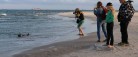 Skagen Fotoklub præsenterer ugens foto