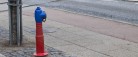Har du også set en blå brandhane?