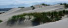 Skagen Fotoklub præsenterer ugens foto