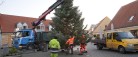 52 meter juletræer sat op i Skagen