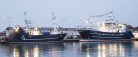 Velkommen til topmoderne fartøjer i Skagen Havn
