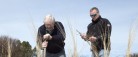 Masser af hjelme plantet ved Guldmajssøen