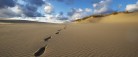 Danmarks nye Naturkanon er offentliggjort: Skagens naturperler hyldes