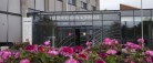 Trivselsrapport i hus: Arbejdsglæden blomstrer blandt kommunens ansatte