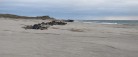 Læserbrev: Sandfodring for millioner er skyllet i havet