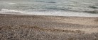 Nedsættelse af tre strandfora for Fremtidens Strande