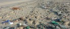 Nordisk Strandrydder Dag 2019